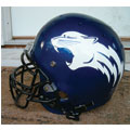 Helmet Decals